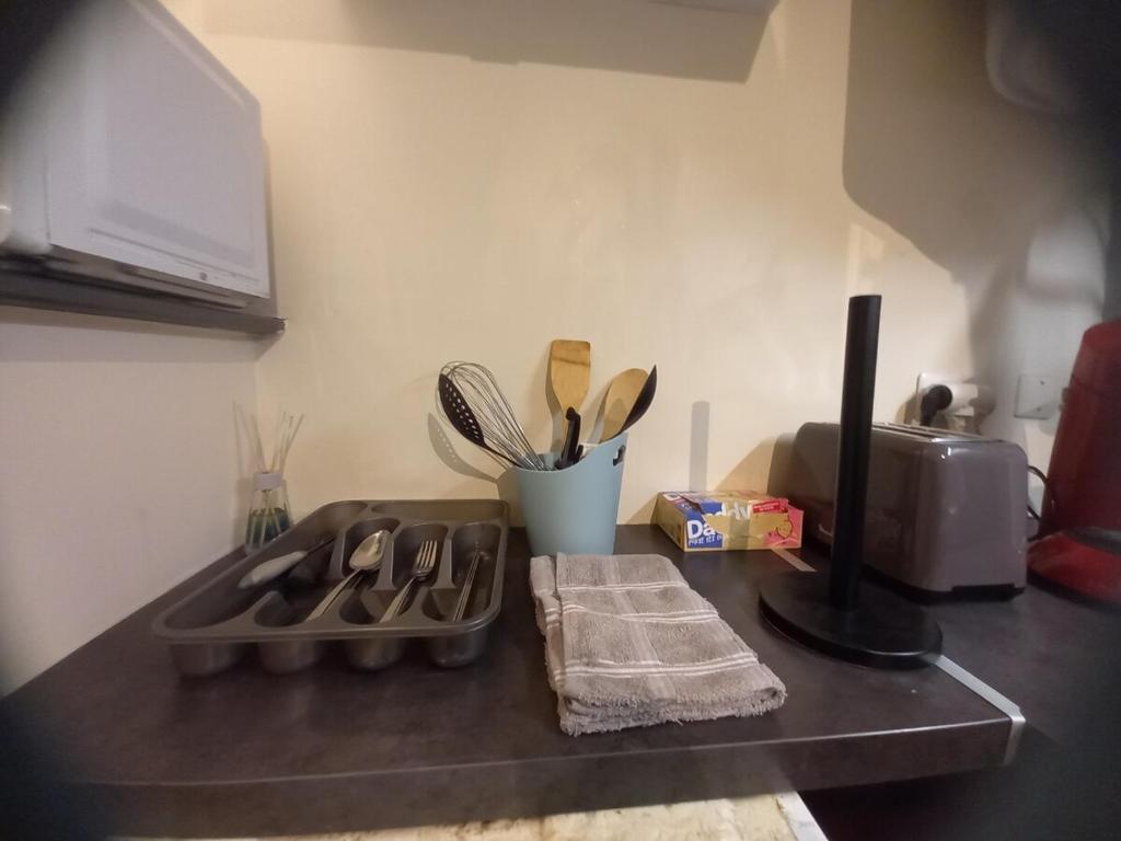 Kuchyň nebo kuchyňský kout v ubytování Le Studio Cocon