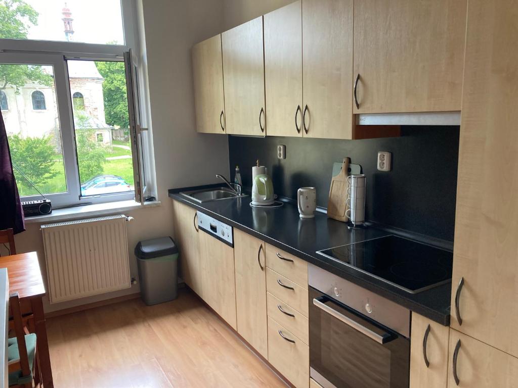 Η κουζίνα ή μικρή κουζίνα στο Apartmán Ski & Bike U Myšáka