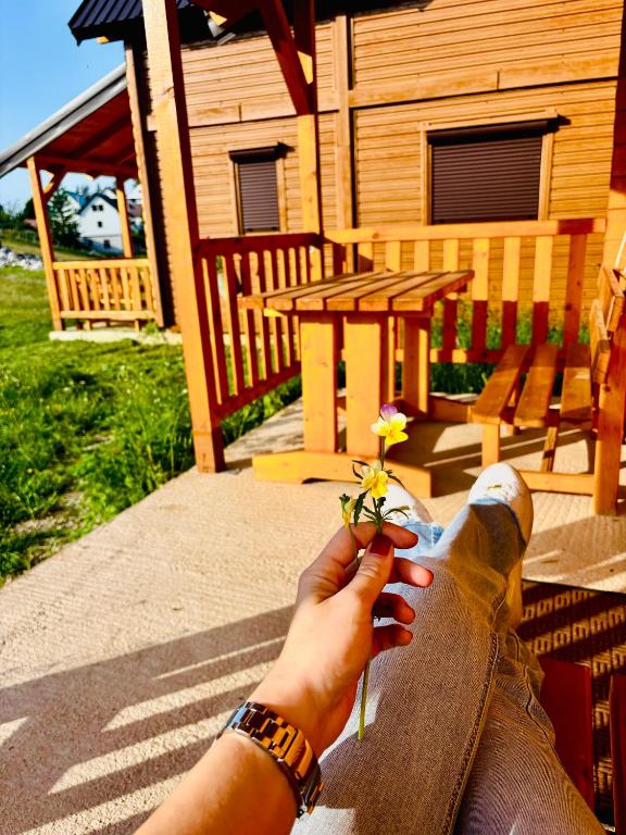 a person with their foot on a bench holding a flower at Alfa Omega Žabljak in Žabljak