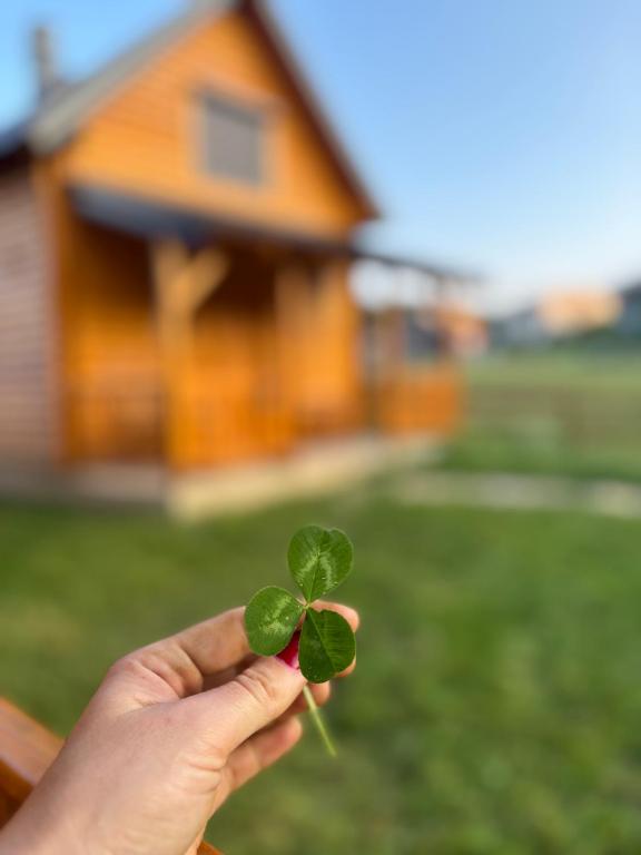 a person holding a four leaf clover in front of a house at Alfa Omega Žabljak in Žabljak