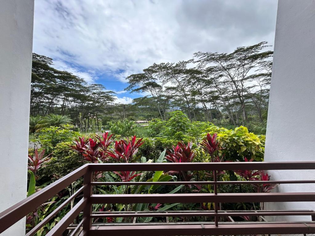 Fotografie z fotogalerie ubytování Hotel Ladera v destinaci Boquete