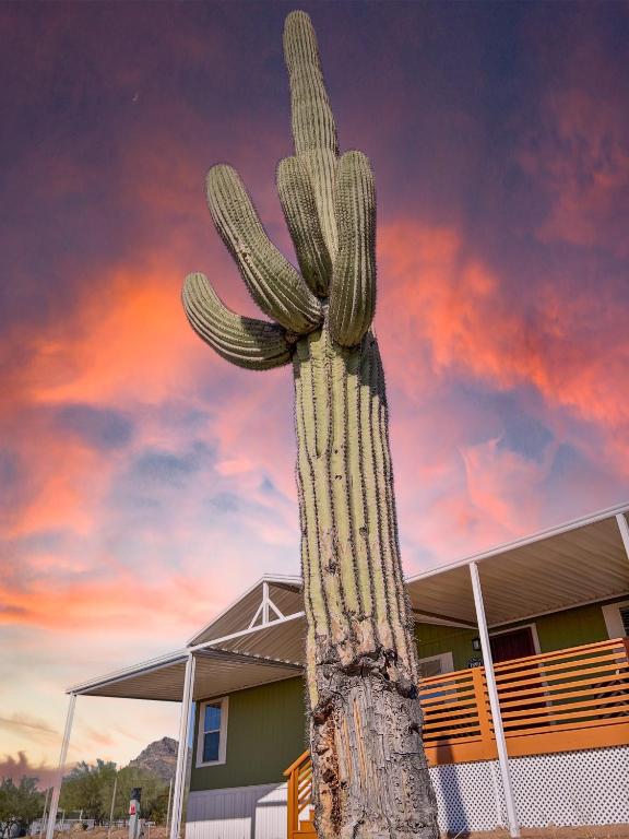 Fotografie z fotogalerie ubytování Old Whitmer Place Apache Junction v destinaci Apache Junction