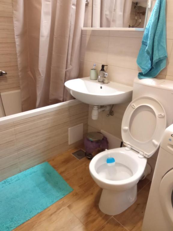Koupelna v ubytování Apartment Artemis Vis