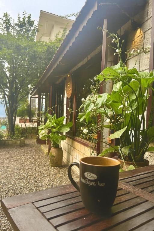 Zahrada ubytování Sapa Elegance Hotel