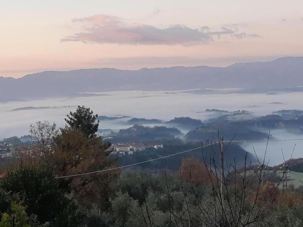 Príroda v okolí dovolenkového domu