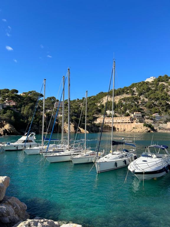 un groupe de bateaux amarrés dans une masse d'eau dans l'établissement La Terrasse Méditerranéenne, à Marseille