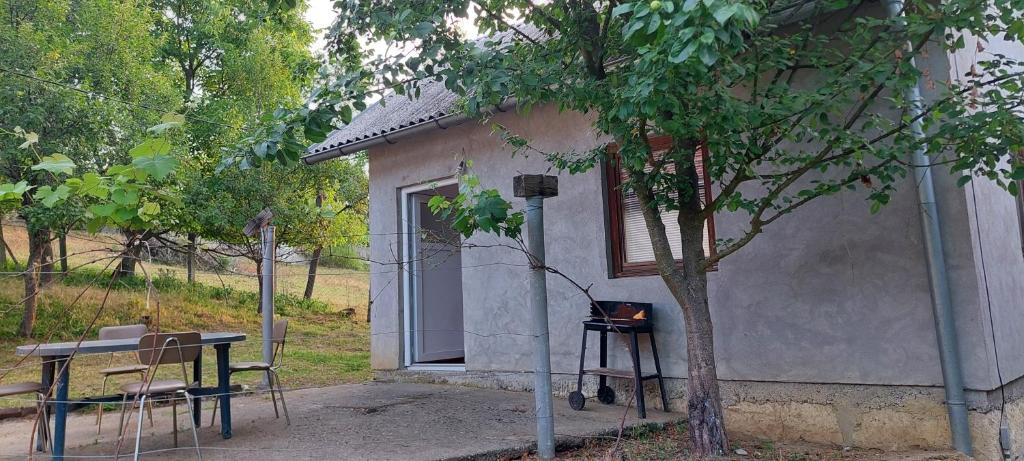 a small house with a table and a grill in front of it at Pet friendly Landhaus in Modriča