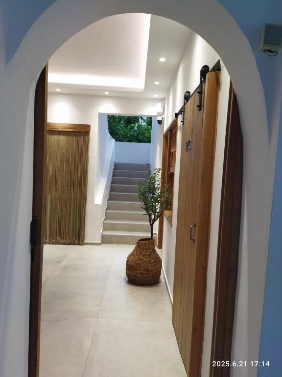 a hallway with a staircase with a potted plant at Hotel Flisvos in Megalochori