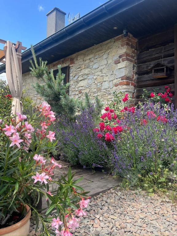 a garden of flowers in front of a building at Malinowa Chatka in Jankowice