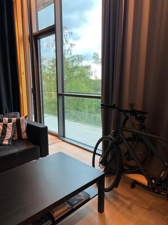 Area soggiorno di Design apartment with view to Nemunas, Prienai