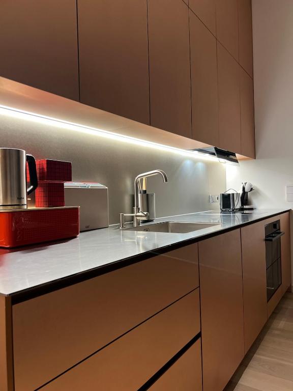 Cucina o angolo cottura di Design apartment with view to Nemunas, Prienai