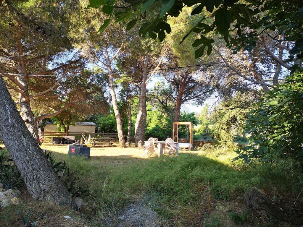 einen Spielplatz in einem Park mit Bäumen und einer Schaukel in der Unterkunft Maison Pittoresque Terrasse et Jardin Monastir del Camp in Passa