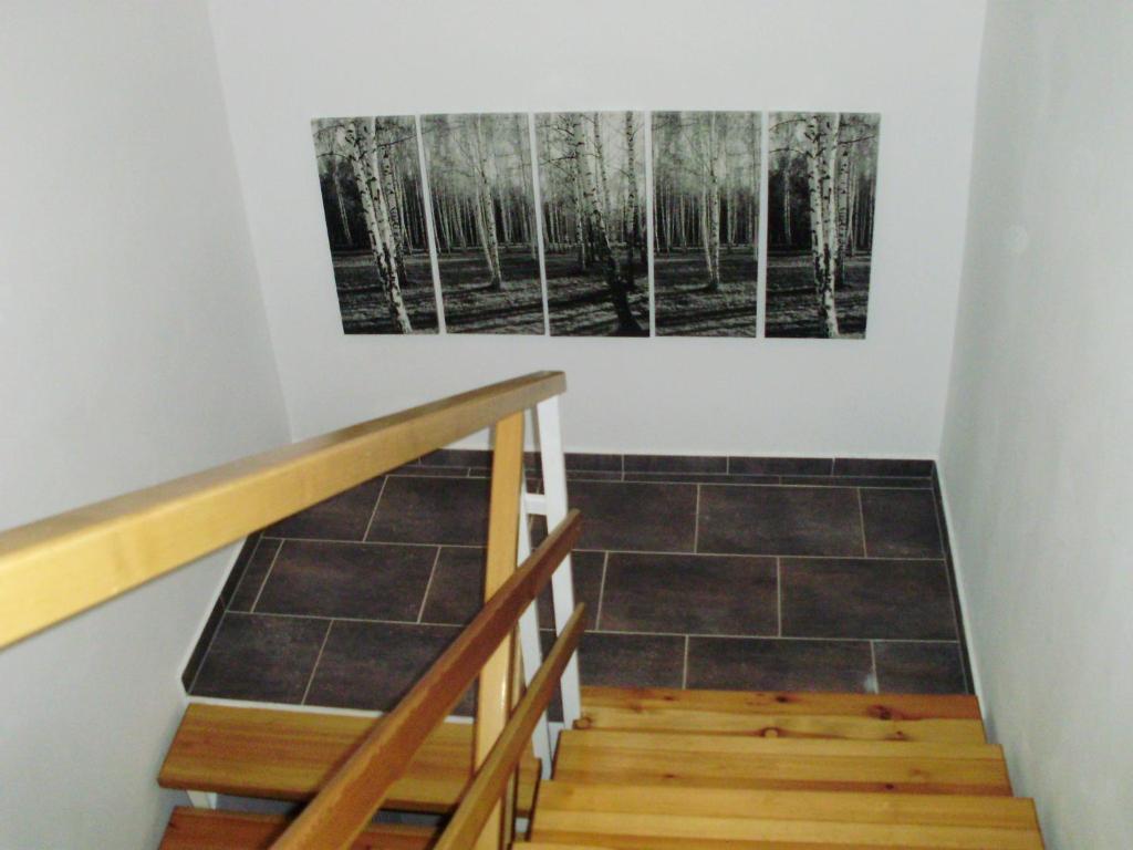 Fotografie z fotogalerie ubytování Villa Maximus v destinaci Jáchymov