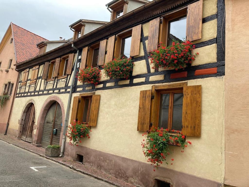 Gîte du Rempart - LA MAISON – photo 21