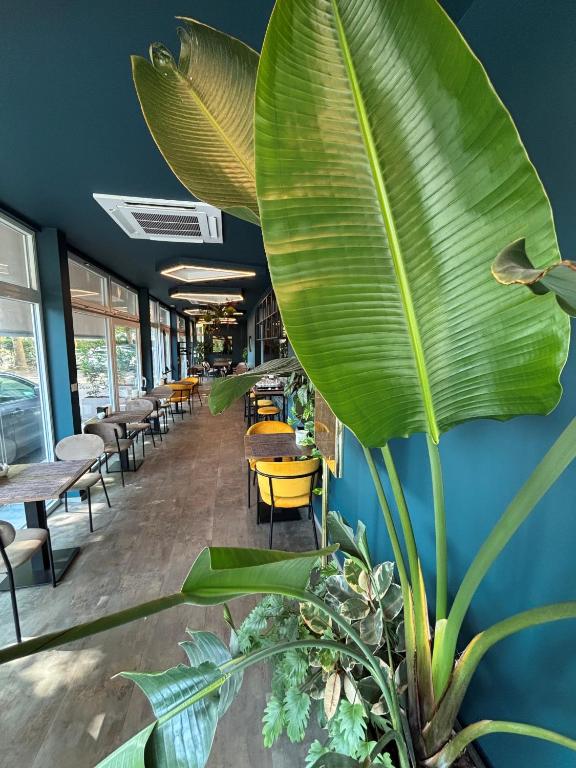 Restaurace v ubytování Hotel Fiera Wellness & Spa