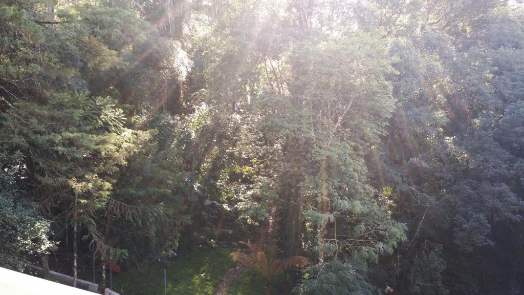  Apartamento Condado de Homelland