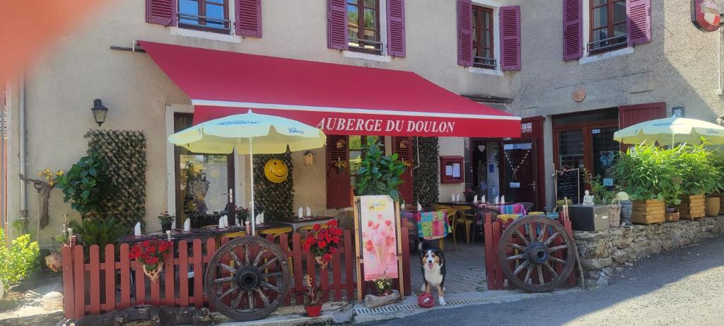 un chien debout devant un magasin avec un parapluie dans l'établissement Auberge du fromager, à Saint-Didier-sur-Doulon