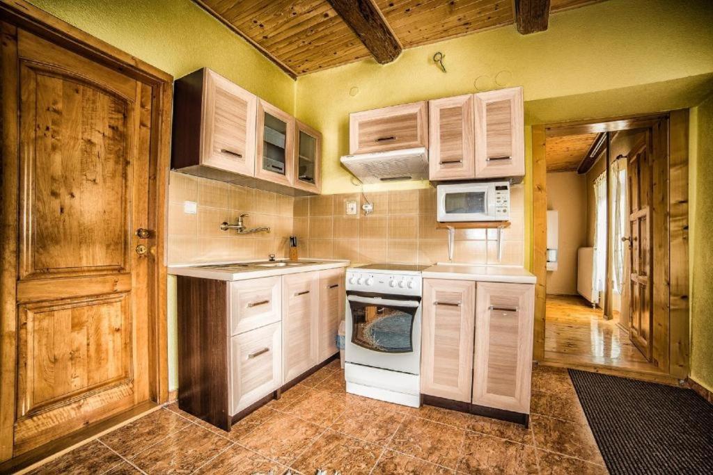 Kuchyňa alebo kuchynka v ubytovaní Apartment Anna