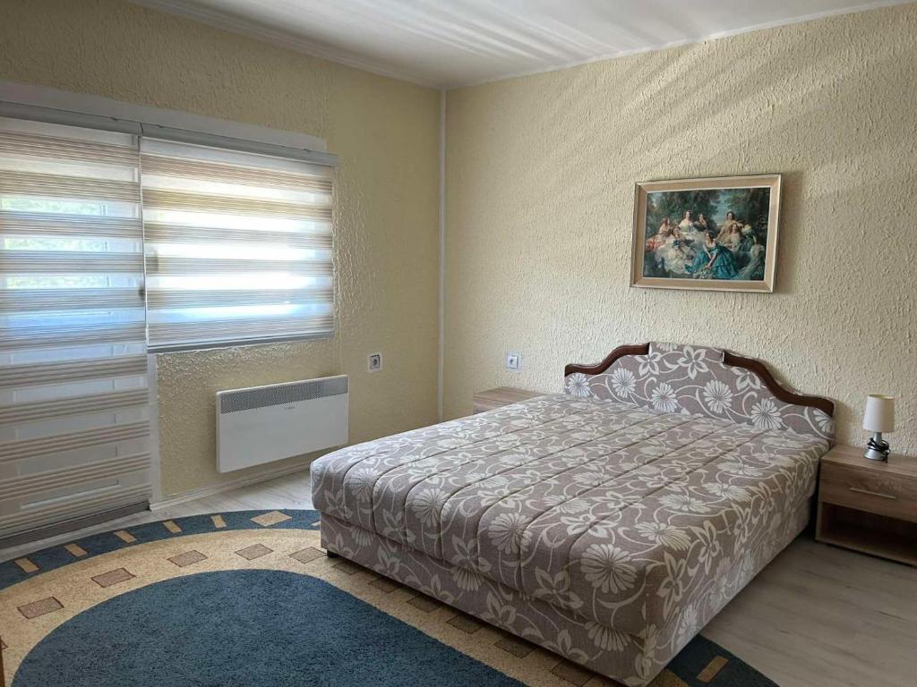 Postel nebo postele na pokoji v ubytování Guest House Vila Aleksa