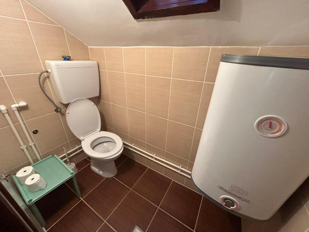Koupelna v ubytování Guest House Vila Aleksa