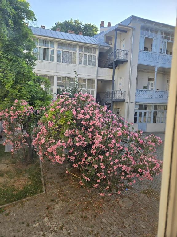 فضای داخلی The SIS Apartments در تفلیس - تصویر ۳