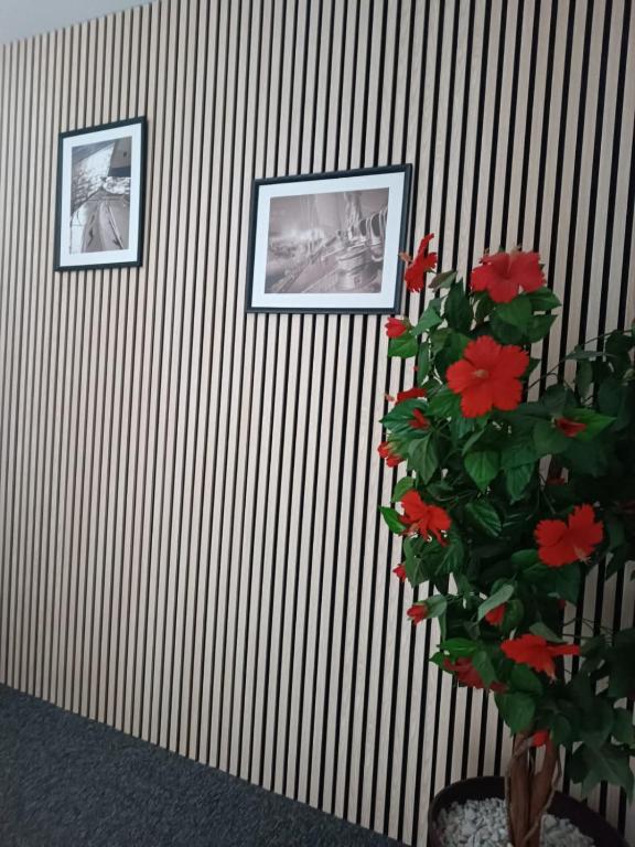 Dom Wczasowy Marlon - 9