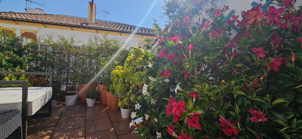 Apartamentos Los Descalzos Ángel With Private Terrace Free Parking - 1