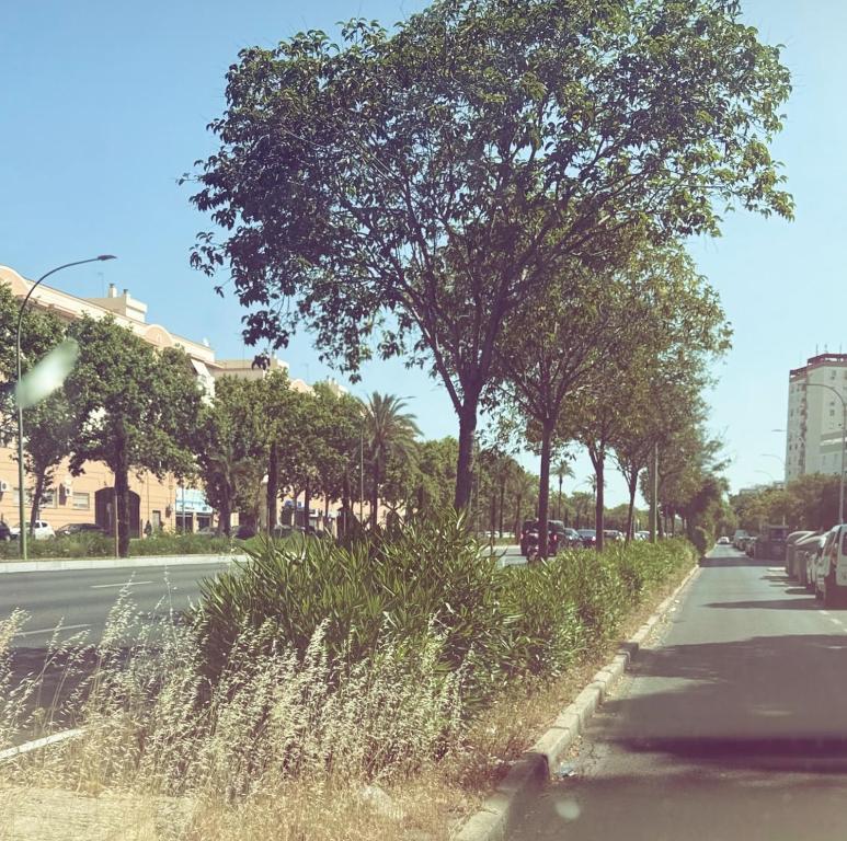 Apartamento en sevilla con encanto y muy bien ubicado