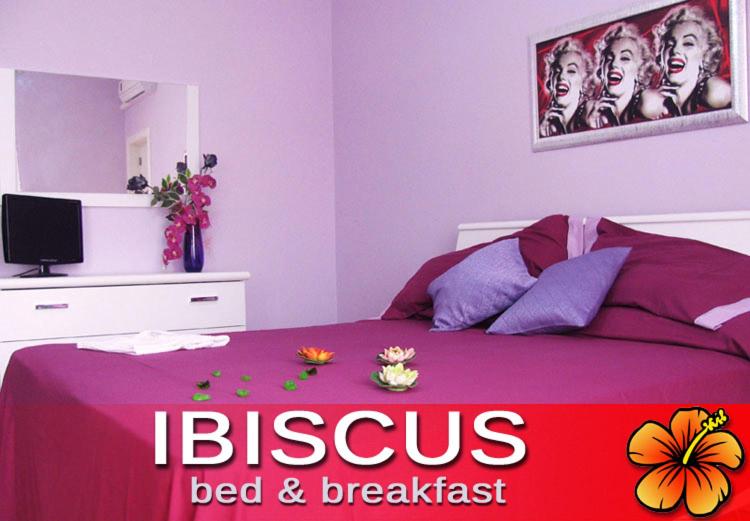 sypialnia z łóżkiem z fioletowym kocem w obiekcie Ibiscus B&B w mieście Castro