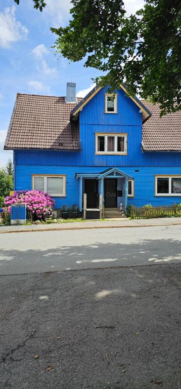 a blue house on the side of a street at Harzspaß in Braunlage