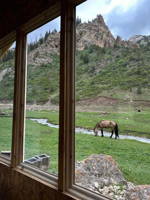 Camp Moldo pass on the road to Son Kol lake, overnight stay, meals, tea, coffee