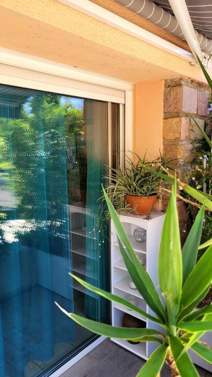 une fenêtre sur une maison avec une plante en pot dans l'établissement Suite and garden BLUE EDEN, plages de Saint-Raphaël Côte d Azur, à Saint-Raphaël