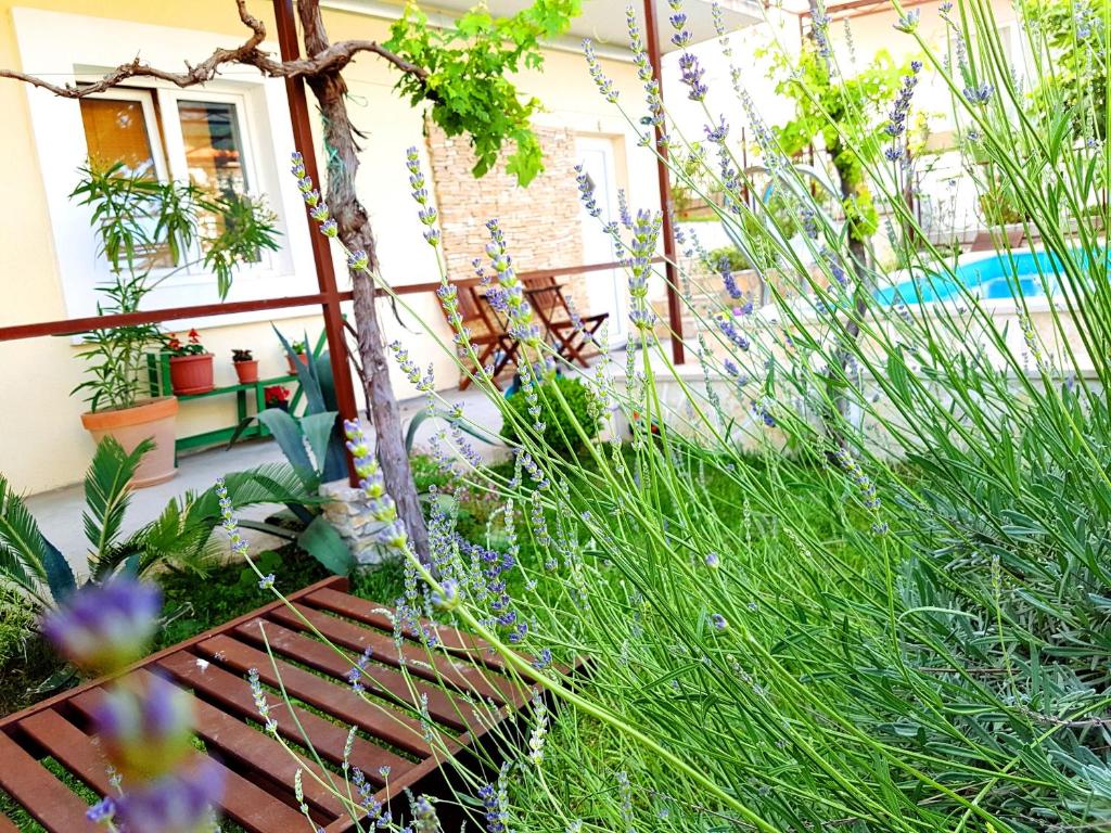 Zahrada ubytování Apartments Kegalj