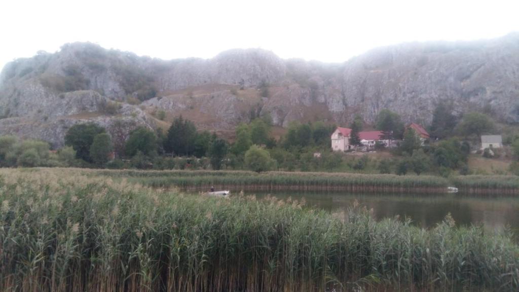 Příroda nedaleko venkovského domu