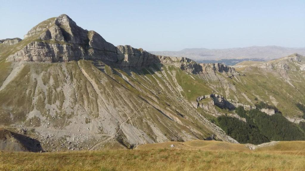 Příroda nedaleko venkovského domu