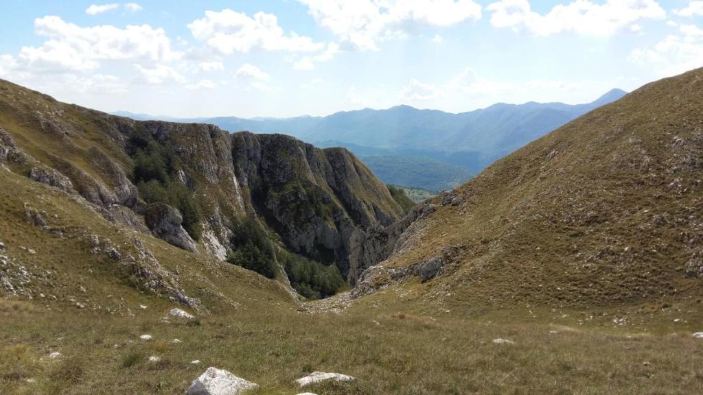 Příroda nedaleko venkovského domu