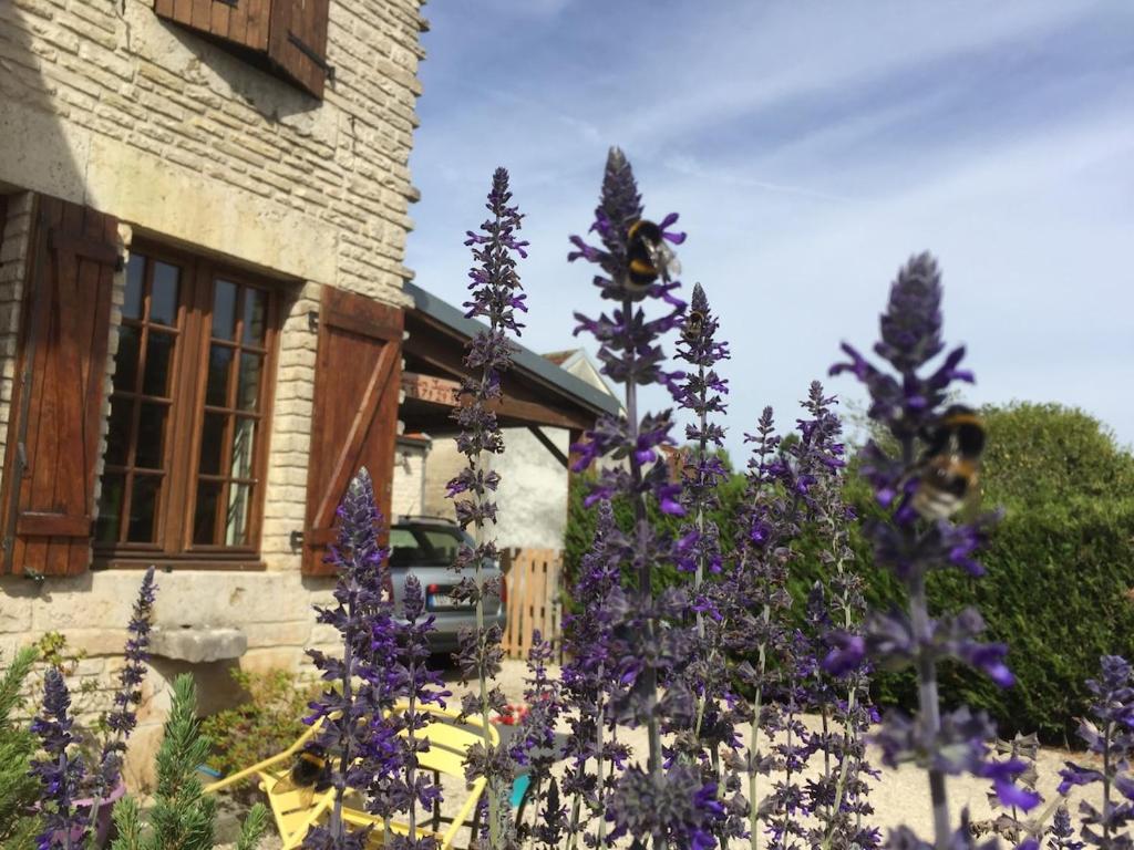 Κήπος έξω από το Gîte champenois les voisins