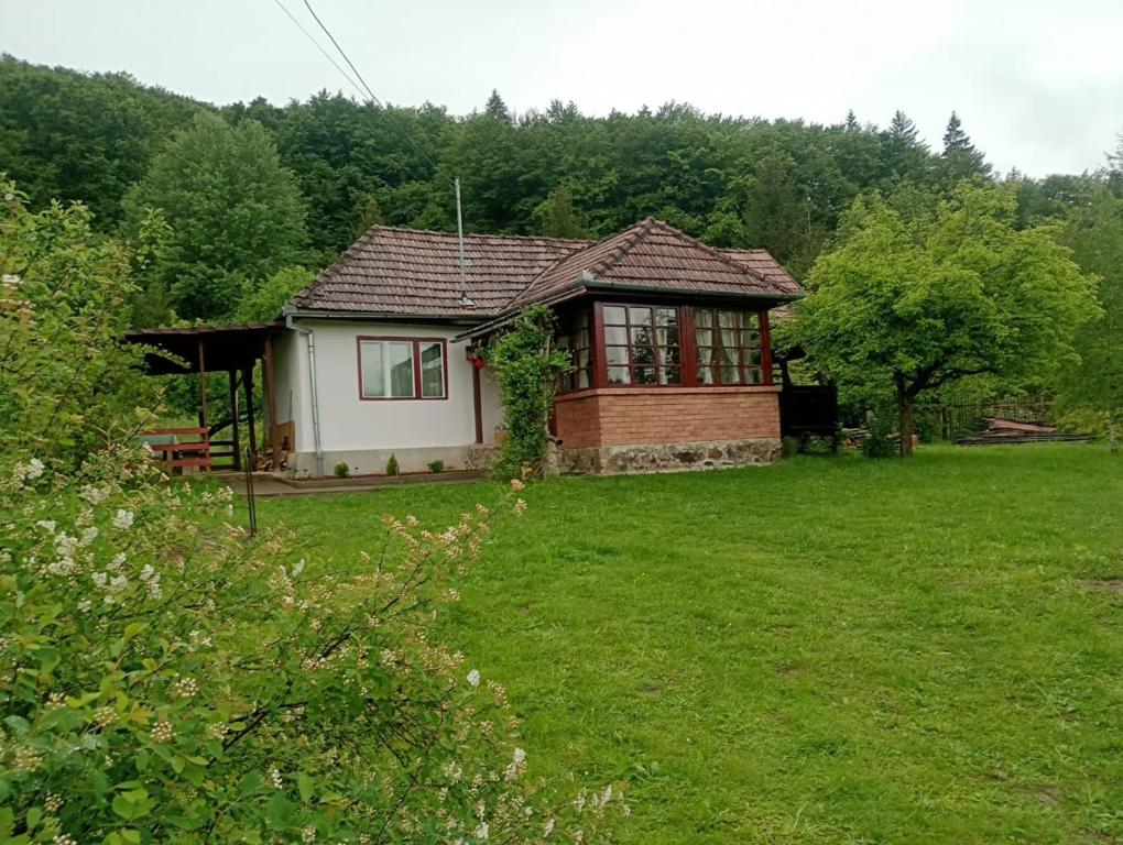 ein kleines Haus mitten auf einem Feld in der Unterkunft Casa din Săcădat-Szakadáti Vendégház in Sovata