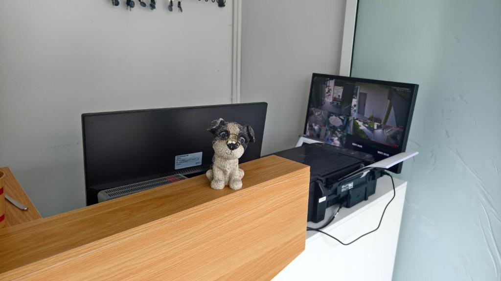 Irene Hotel - Resim 19