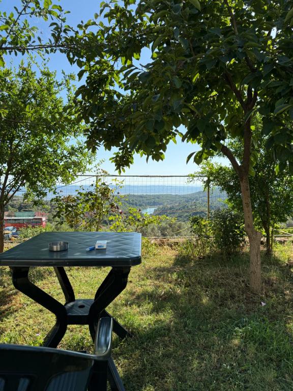 Un paisaje natural cerca de la casa de huéspedes