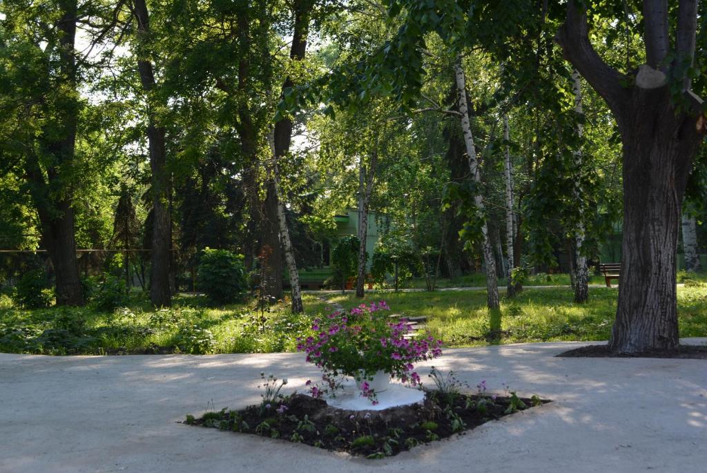 Zahrada ubytování Zelenyi Kampus