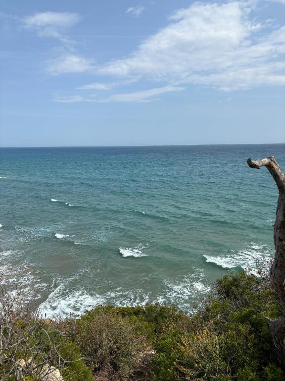 a view of the ocean from a hill with a tree at La casa dels Boscos in Tarragona
