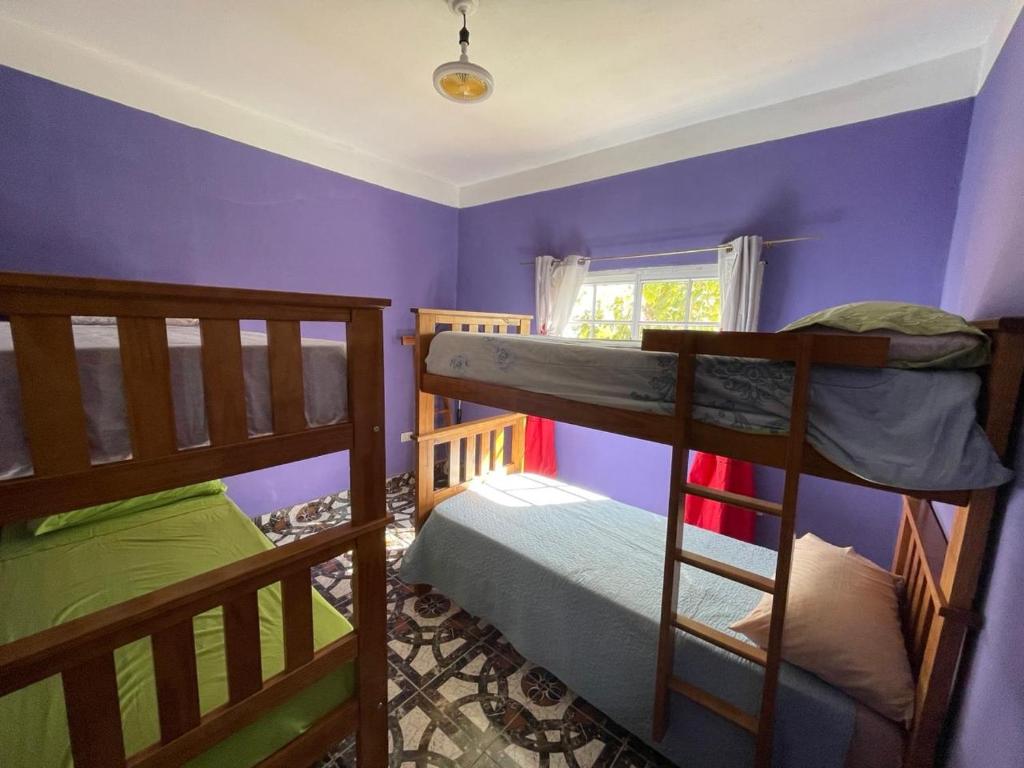 two bunk beds in a room with purple walls at Mi cielo 3 in Santa María