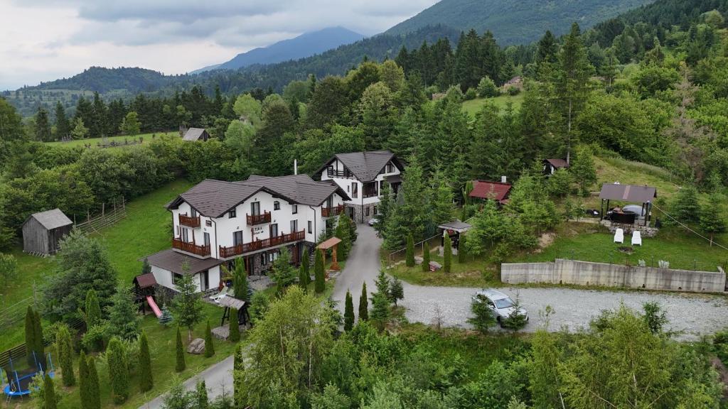 an aerial view of a large house in the mountains at Alpina Deluxe Panoramic in Moisei