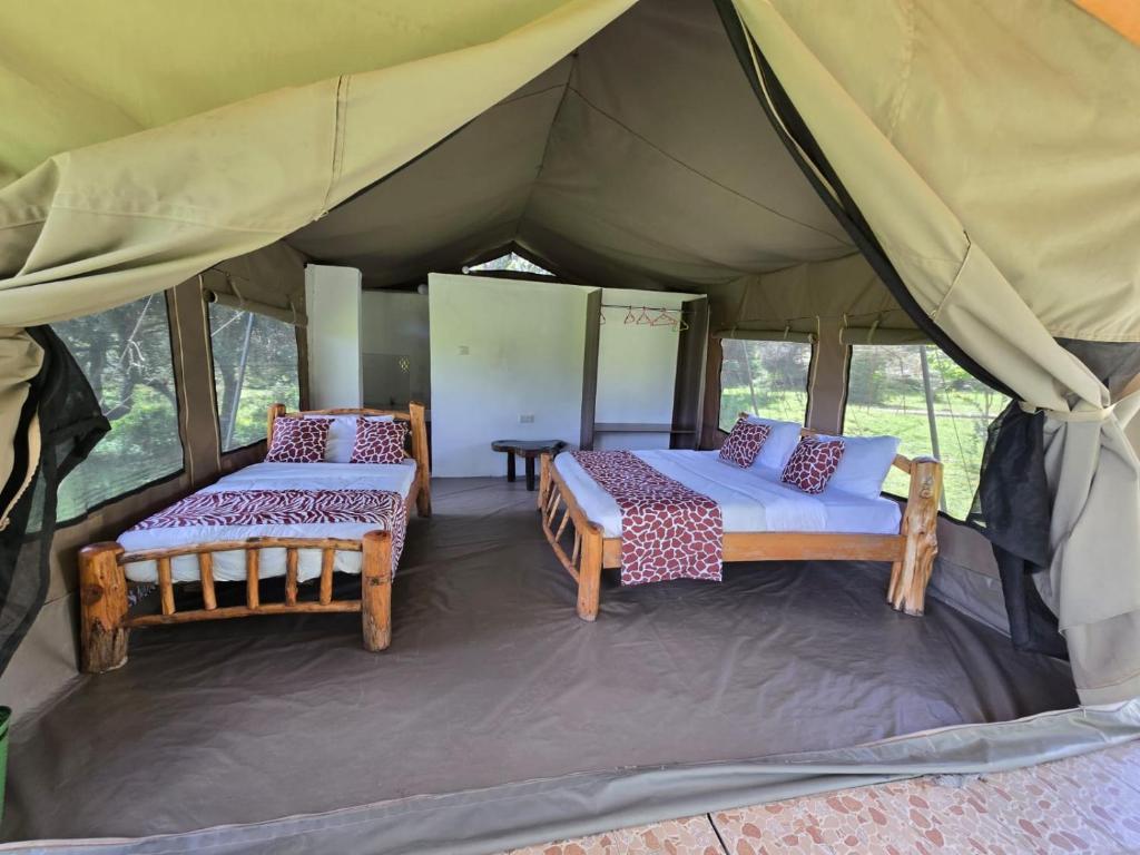 Postel nebo postele na pokoji v ubytování Wild Nest Mara camp