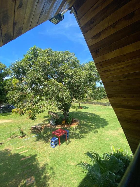 A garden outside Dreamvilles Ecovillage Las Galeras
