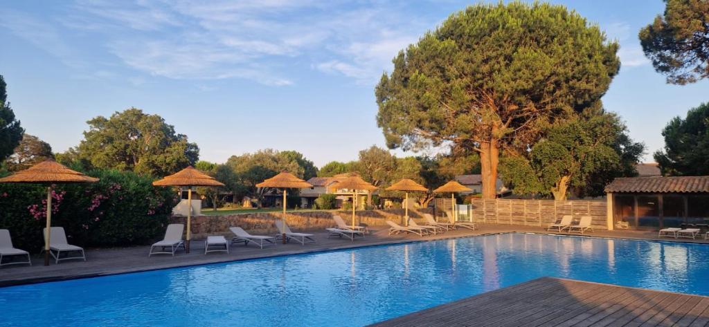 une piscine dans un complexe hôtelier avec chaises et parasols dans l'établissement Eden Cala Rossa appartement 3 chambres et grande terrasse dans résidence hotelière Fiori di Cala Rossa à Lecci, à Lecci