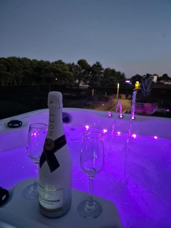 a bottle of wine and two wine glasses in a hot tub at Villa Asa with private Jacuzzi in Vir