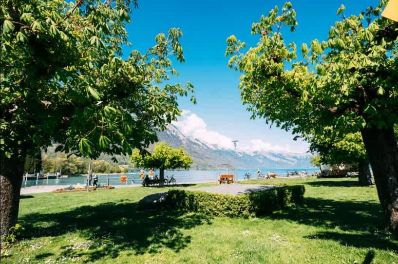 a park with a lake and mountains in the background at Lakeside Lela Apartment near Interlaken in Bönigen