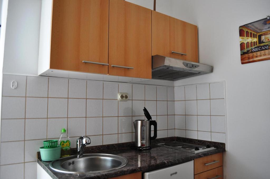 Kuchyň nebo kuchyňský kout v ubytování Rooms & Apartments Tepsa - Centre